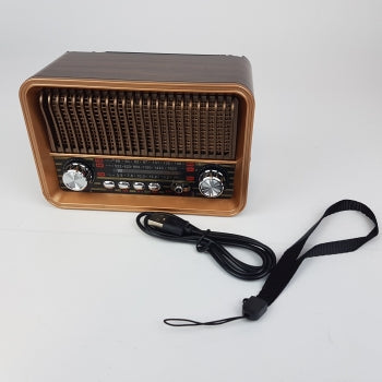 BT radio GOL-134 - Mediteran Shop