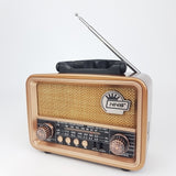 Bluetooth radio GOL-135 - Mediteran Shop