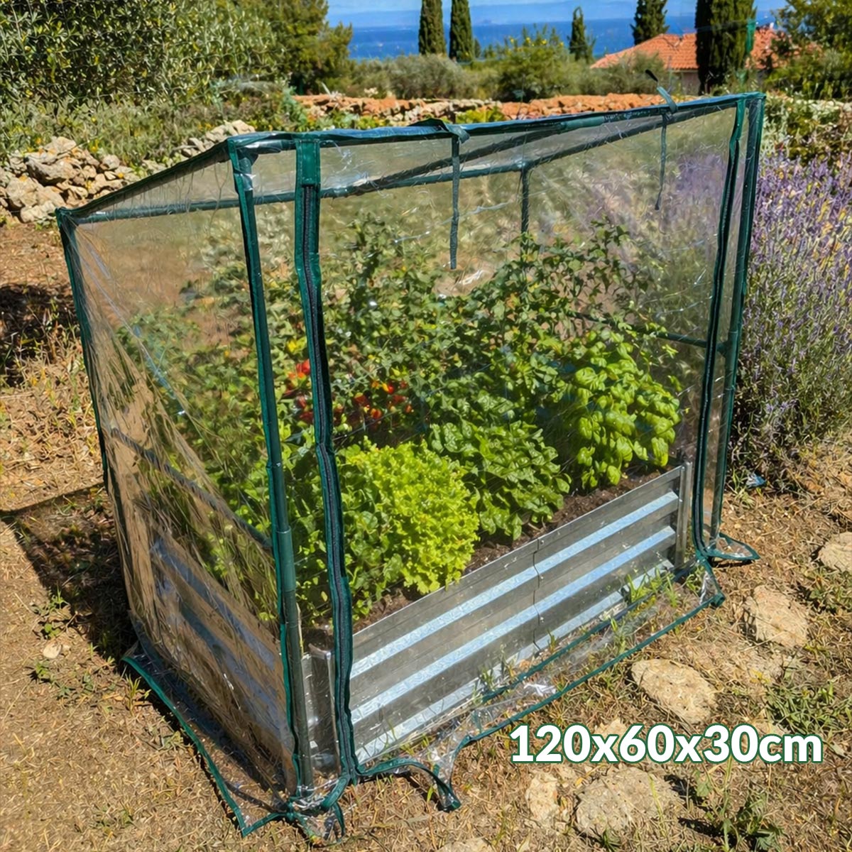 Plastenik sa metalnom gredicom G727 - Mediteran Shop