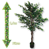 Umjetni cvijet - Fikus 1,6m G708 - Mediteran Shop