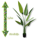 Umjetni cvijet - Strelicija 1,5m G705 - Mediteran Shop
