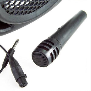 Karaoke zvučnik s mikrofonom i daljinskim Ch-829 - Mediteran Shop
